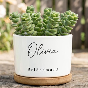 Maceta personalizada para plantas suculentas, mini maceta personalizada, regalo para amantes de las plantas, profesores, compañeros de trabajo, mejores amigos, cumpleaños o aniversario.