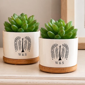 Può includere: Due vasi cilindrici in ceramica bianca, ciascuno contenente una pianta succulenta verde. I vasi presentano una grafica nera di un salice e il testo W&S. Ogni vaso poggia su una base circolare a piattino in legno di colore chiaro.