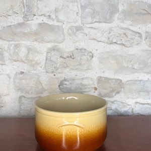 Peut inclure: Un bol en céramique bicolore. La partie supérieure est jaune clair, passant à un brun profond à la base. Le bol a une forme arrondie et présente un motif en relief subtil sur le devant.