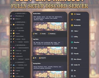 Fully Setup Premade Cozy Cafe Hangout Theme Discord Server Ready to Use