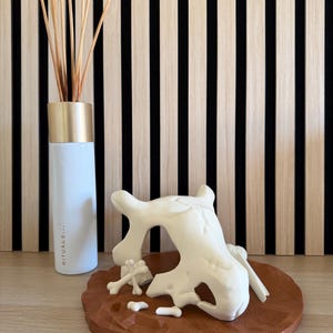 Peut inclure: Un diffuseur en céramique blanc avec des accents dorés et des roseaux, à côté d'une sculpture blanche en forme d'os sur un plateau marron texturé. Le fond présente un panneau en bois à rayures noires.