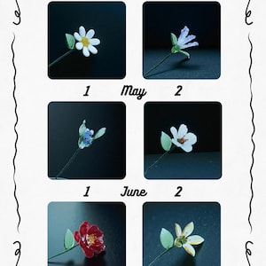May include: A decorative image featuring six square photos of handcrafted flowers, each with a stem and leaves. The photos are arranged in two rows of three, with the months April, May, and June labeled above. The flowers are white, red, and yellow.