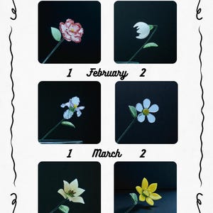 May include: A decorative calendar featuring six floral illustrations, each set against a black background. The months of January, February, and March are displayed, with two flower variations per month. The flowers are in shades of pink, white, and yellow.
