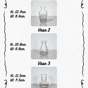 May include: Three clear glass vases with varying designs are displayed. Vase 1 is 12.7cm tall and 6.4cm wide, Vase 2 is 10.8cm tall and 6.6cm wide, and Vase 3 is 11.5cm tall and 7.5cm wide. Each vase has a unique shape and pattern.