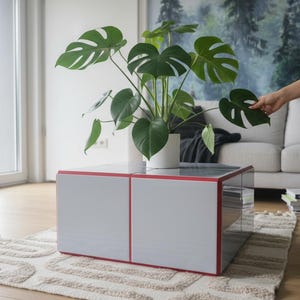 Op de afbeelding: Een moderne wit en rode salontafel met een Monstera plant in een witte pot. De tafel staat op een patroonkleed in een woonkamer. De plant heeft grote, groene, gespleten bladeren.