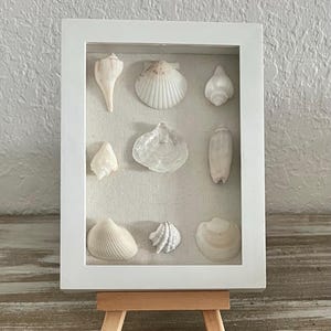 Coastal Shell Shadow Box 5x7 | Neutral Beach Decor | Genuine Coastal Seashells