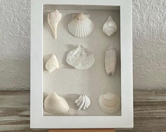 Coastal Shell Shadow Box 5x7 | Neutral Beach Decor | Genuine Coastal Seashells