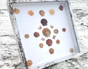 Coastal Shell Shadow Box 10x10 | Neutral Beach Decor | Genuine Coastal Seashells|Sunset Palette