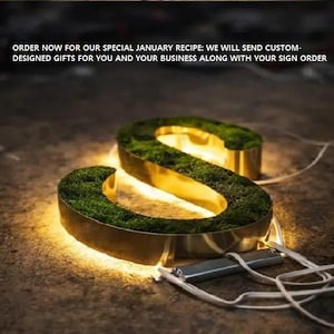 Moosbüro, Moosschilder, Wandmoos, Bürowandmoos, Moos-Wandschild, Büromoos-Deko, Lebendige Bürodekoration, Individuelle Moosschilder