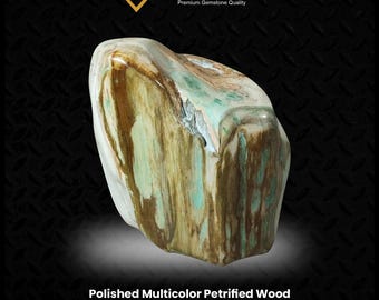 12) 大きな化石化した木の切り株 - Etsy 日本