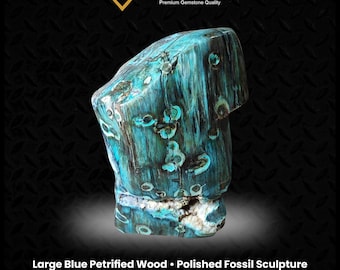 12) 大きな化石化した木の切り株 - Etsy 日本