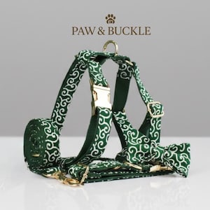 May include: A green dog harness and matching bow tie set with a white swirl pattern. The set includes a leash, harness, and bow tie. The harness has gold-colored metal hardware and the brand name "PAW & BUCKLE" is printed at the top.