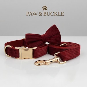 May include: A burgundy corduroy dog collar, bow tie, and leash set with gold-colored hardware. The collar has a gold buckle and a matching gold-colored D-ring. The bow tie is pre-tied. The leash has a gold-colored clasp.