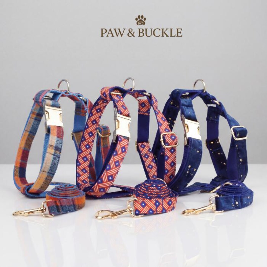 Harness Matching Loop Fabric Harness and Leash Set • Custom Engraved Collar Harness ...