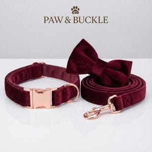 May include: A burgundy velvet dog collar, bow tie, and leash set with rose gold hardware. The collar has a buckle closure, and the leash has a matching clasp. The bow tie is pre-tied. The brand name "PAW & BUCKLE" is at the top.