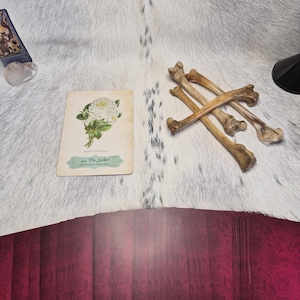 May include: An arrangement of tarot cards, bones, and a crystal on a cowhide rug. One card features a white rose illustration and the text "44 The Seeker". The bones are light brown. A deck of cards with a burgundy floral design is visible.