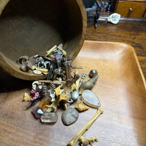 Tiktok Video Knochenlese