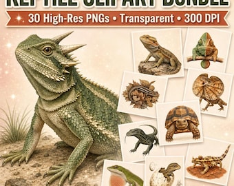 Reptile Clipart PNG Bundle, Lizard Illustration Png, Gecko Chameleon Art, Wildlife Nature Decor, Turtle Iguana Design, Instant Download