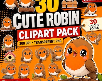 Robin Clipart, Kawaii Robin PNG Bundle, Garden Bird Clipart, Redbreast Design, Nursery Bird Art, Winter Bird Graphics, Commercial PNG Design