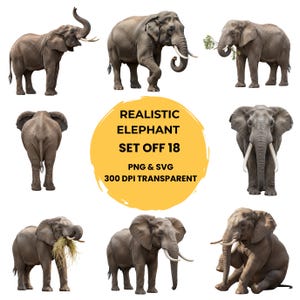 May include: A set of realistic elephant illustrations in different poses. The elephants are grey with large ears, tusks, and trunks. The image includes text that reads "REALISTIC ELEPHANT SET OFF 18 PNG & SVG 300 DPI TRANSPARENT".
