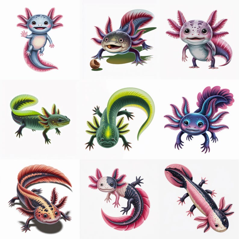 Watercolor Axolotl Clipart Bundle PNG, Cute Salamander, Rainbow Animal ...