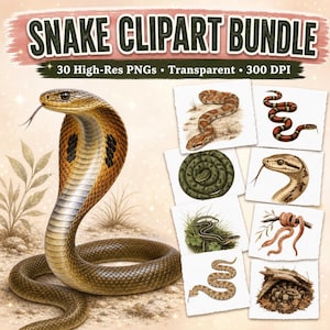May include: A digital snake clipart bundle featuring 30 high-resolution transparent PNG files. The main image shows a large, brown cobra with a flared hood and a forked tongue, surrounded by smaller square illustrations of various snake species.