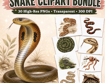 Snake Clipart PNG Bundle, Reptile Illustration Png, Cobra Python Art, Wildlife Nature Decor, Serpent Design Set, Instant Download