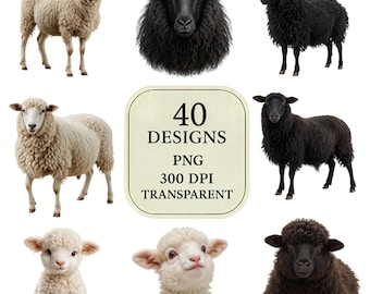 Realistic Sheep PNG Bundle – 40 Farm Animal Clipart, Lamb & Black Sheep PNG, Transparent Background, 300 DPI Digital Download