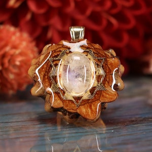 Pinecone Pendant with Moonstone and Gold 64 Star Tetrahedron (Mini) by Third Eye Pinecones