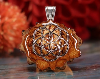 Natural Pinecone Pendant with Silver Seed of Life (Mini) by Third Eye Pinecones