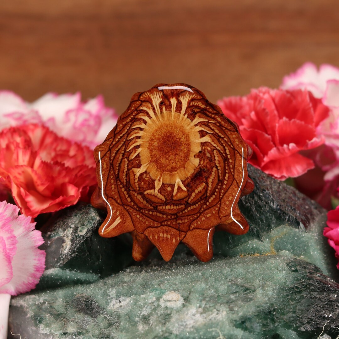 Natural Pinecone Pendant large by Third Eye Pinecones Etsy