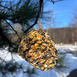 May include: A hanging bird feeder made of a dense mixture of seeds, grains, and nuts. The feeder is spherical and suspended from a tree branch with twine. The bird feeder is a mix of brown, yellow, and black.