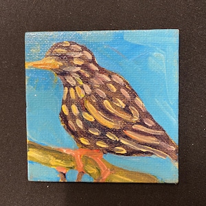 Estornino, ave moteada. Pintura acrílica original sobre lienzo con imán. Medidas: 7,6 x 7,6 x 0,3 cm. Azul cielo con matices dorados. Miniatura de arte única.