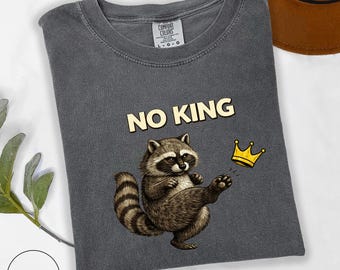 No King Funny Raccoon Shirt, Activist T-Shirt, Political Tee, Gift For Democrats
