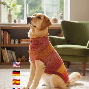 Puede incluir: Un perro Labrador dorado con un suéter de punto con cuello alto. El suéter presenta rayas horizontales en tonos naranja, rojo y amarillo. El texto en la parte inferior dice "Pattern available in 4 languages".