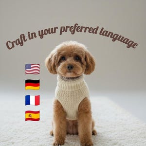 Può includere: Un piccolo cane marrone con un maglione color crema è seduto su un tappeto bianco e soffice. L'immagine include il testo "Craft in your preferred language" e le bandiere di Stati Uniti, Germania, Francia e Spagna.
