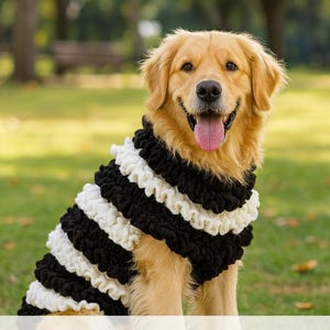 May include: A Golden Retriever wearing a black and white striped dog sweater. The dog is sitting in a grassy area with a blurred background. Text at the bottom reads "PATTERN AVAILABLE IN 4 LANGUAGES:" with flags.