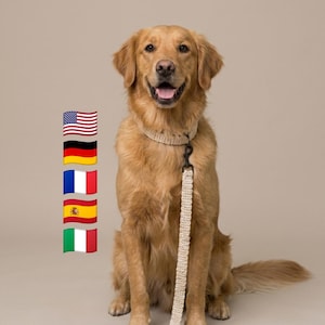 Crochet Dog Collar and Leash Pattern, Beginner Friendly Pet Set (PDF Download)