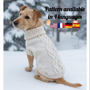 Puede incluir: Un perro marrón claro con un suéter de punto trenzado color crema con cuello alto, sentado en la nieve. El texto "Pattern available in 4 languages" está sobre las banderas de EE. UU., Francia, Alemania y España.