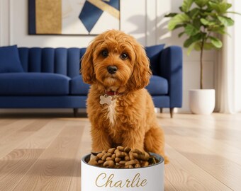 Ensemble de gamelles avec prénom personnalisé pour animal de compagnie, Ivoire Whisper et or, Charlie 18 et 32 oz