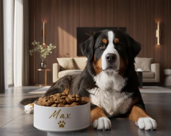 Ensemble de gamelles avec nom personnalisé pour animal de compagnie, acier inoxydable ivoire et doré - 18 et 32 oz max.