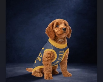 Pull pour chien en tricot, pourri gâté, bleu et or taille M