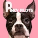 Pinky Pilots