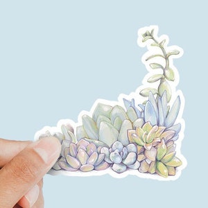 Tuin-3" gestanst vinyl waterfles sticker aquarel succulente collectie in pastelkleuren originele BOHO compilatie print door Miss Tak