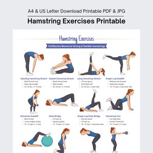 Könnte beinhalten: Druckbares PDF- und JPG-Dokument mit dem Titel "Hamstring Exercises Printable". Das Bild zeigt 16 Übungen für die Oberschenkelmuskulatur mit Illustrationen und Anweisungen. Die Übungen umfassen Dehnungen und Heben, mit Details zu Wiederholungen und Sätzen.