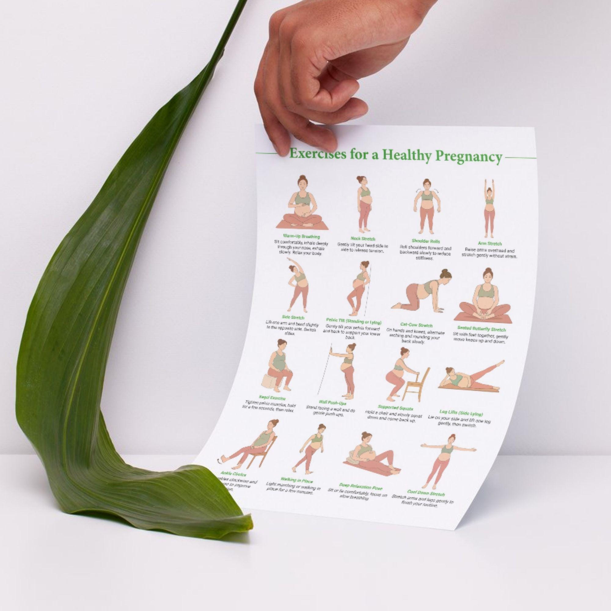 Pregnancy Exercise Printable, Prenatal Workout Guide, Safe Pregnancy ...