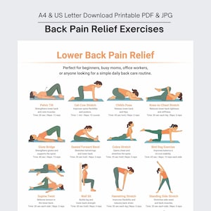 Peut inclure: Guide PDF et JPG imprimable pour des exercices de soulagement des maux de dos. Comprend des illustrations d'étirements tels que le bascule du bassin, la posture du chat-vache, la posture de l'enfant et l'étirement genou-poitrine. Instructions incluses.