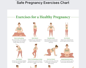 Pregnancy Exercise Printable, Prenatal Workout Guide, Safe Pregnancy Exercises Chart, Pregnancy Workout PDF, Mom To Be Gift