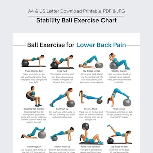 May include: A printable exercise chart for stability ball workouts. The chart includes illustrated instructions for various exercises, such as planks, crunches, and push-ups, designed to target different muscle groups and improve core strength.
