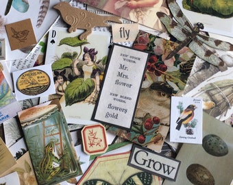 Garden Nature Scrap Images for Mixed Media Art/Scrapbooking/Journaling/Assemblage